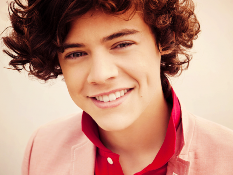 harry-3-one-direction-28757898-1024-768.png